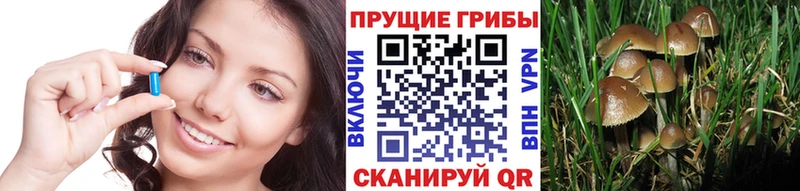 Купить закладки  Кемь  Галлюциногенные грибы прущие грибы 